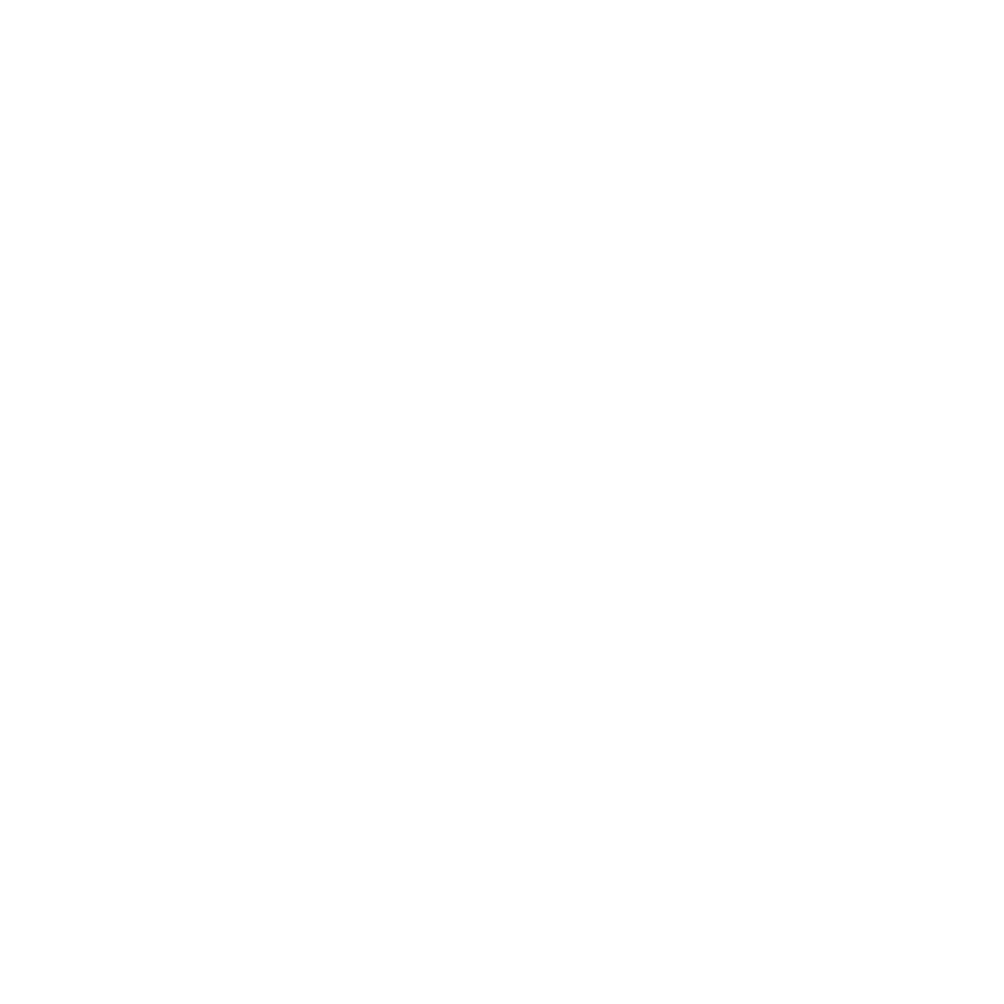 Logo for Steady Ground Fiduciary